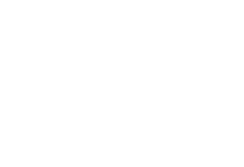 RAY CHU